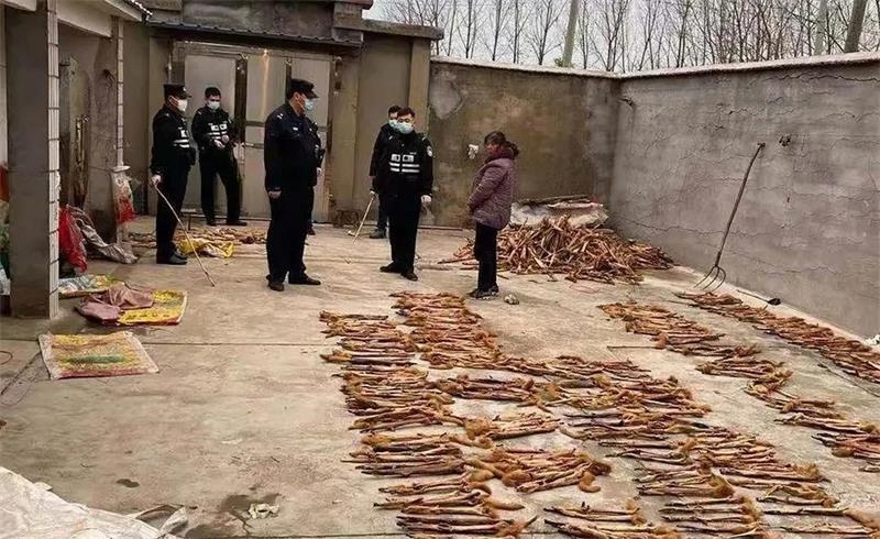 抓黄鼠狼罚960万,21人猎捕1.2万只黄鼠狼判赔近千万