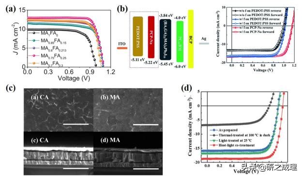 任广禹教授,任广禹教授科学家
