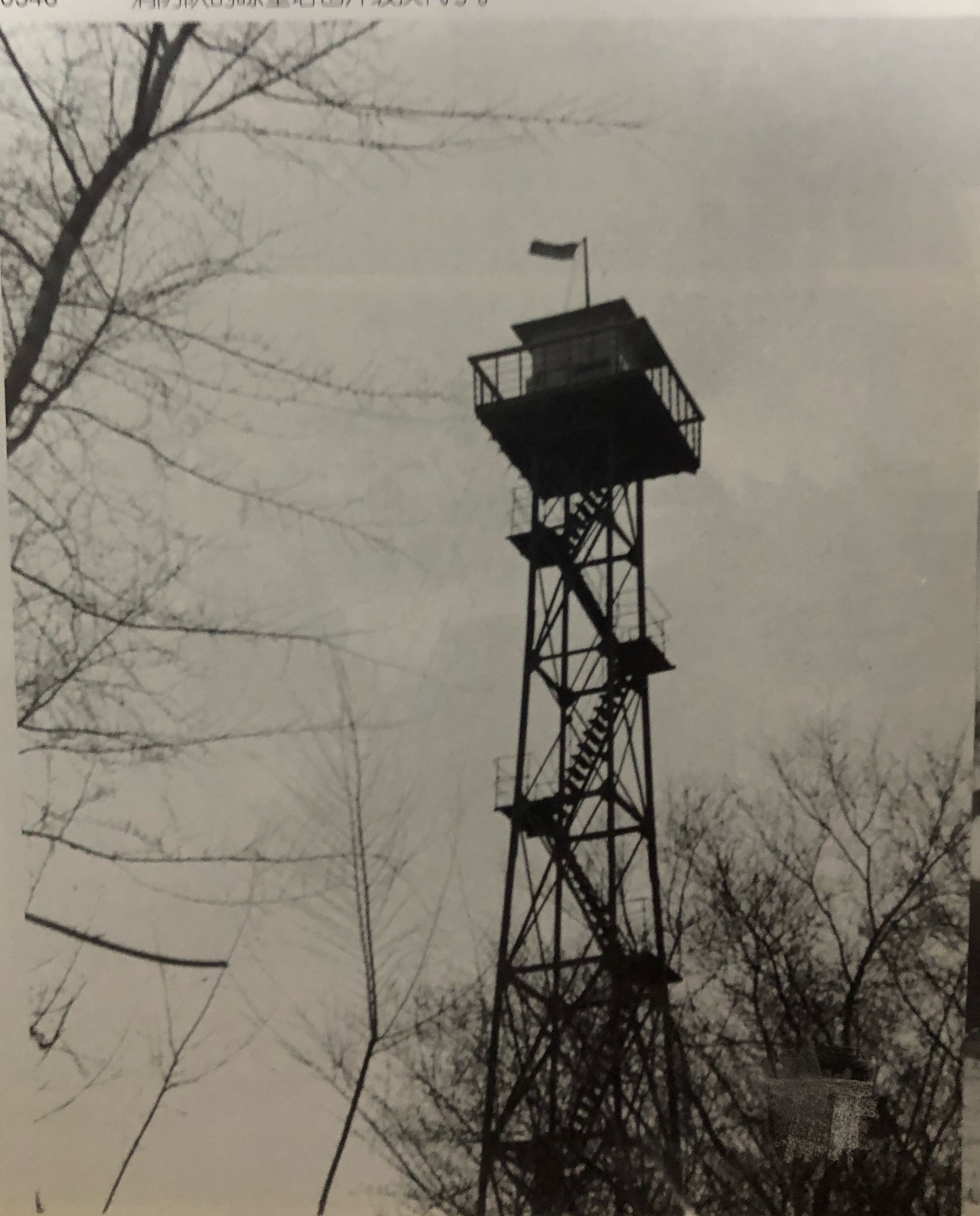 哈尔滨70年代动力区前进街老照片,哈尔滨老市政府大楼老照片