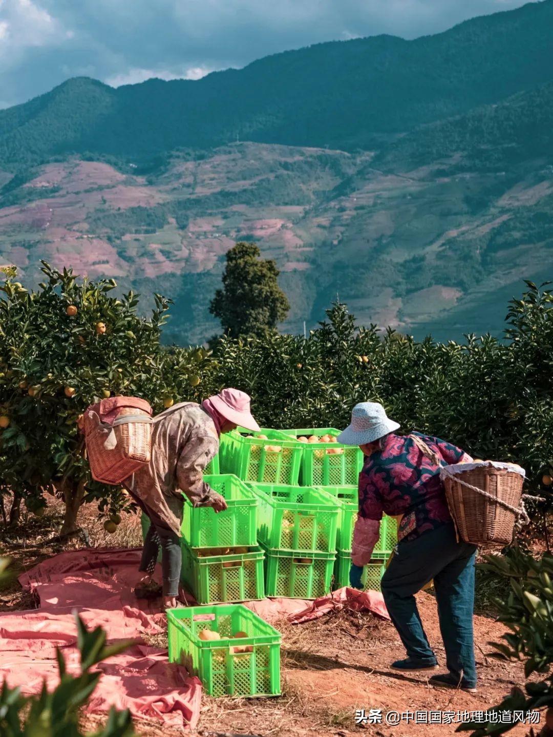 江西vs湖南哪个更能吃辣,江西和湖南pk辣椒