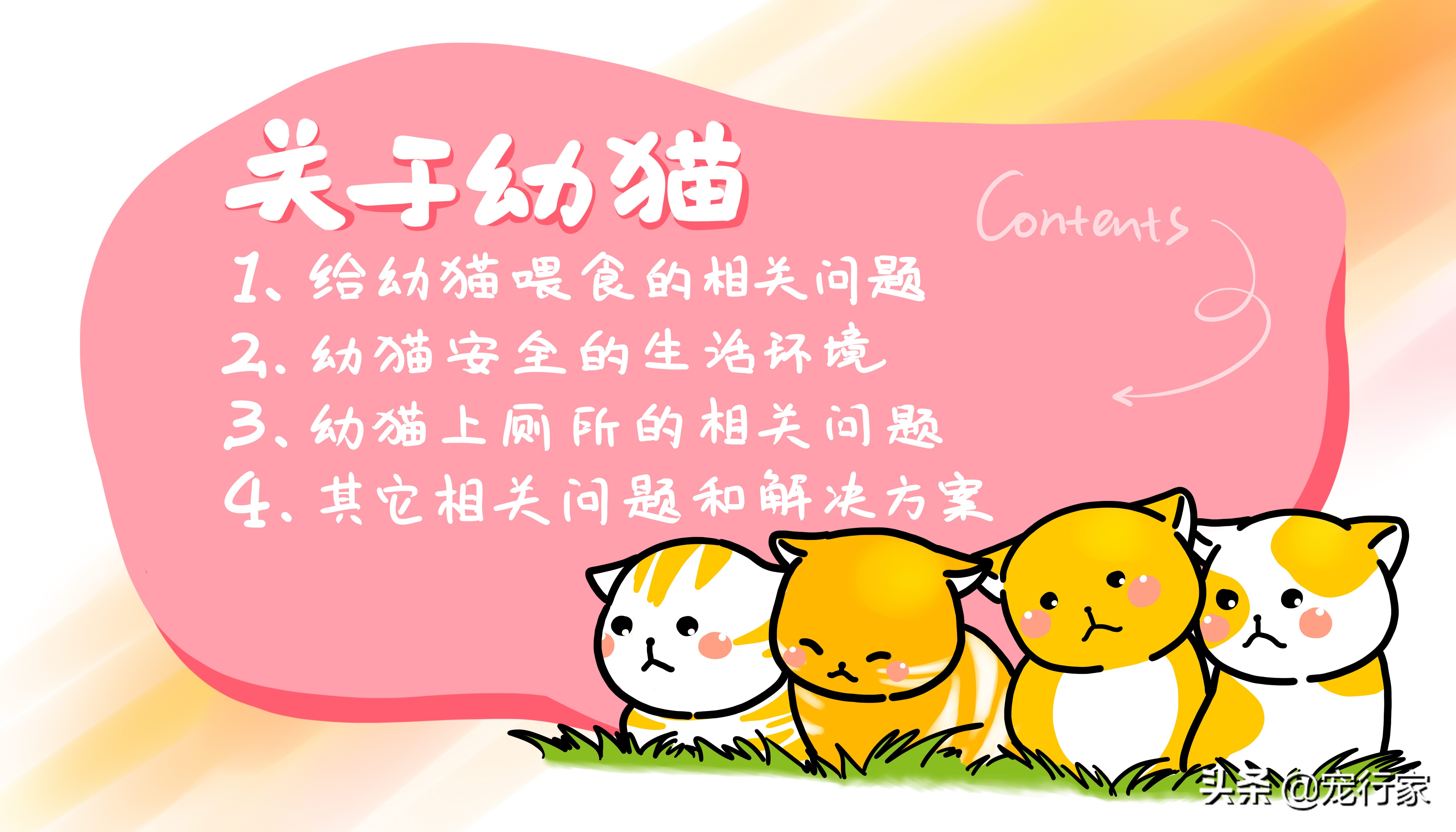 幼猫怎么喂养注意事项,幼猫喂养技巧和方法