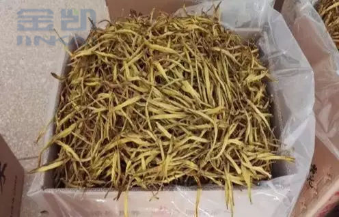 蓝天黄花菜烘干机,空气能黄花菜烘干设备