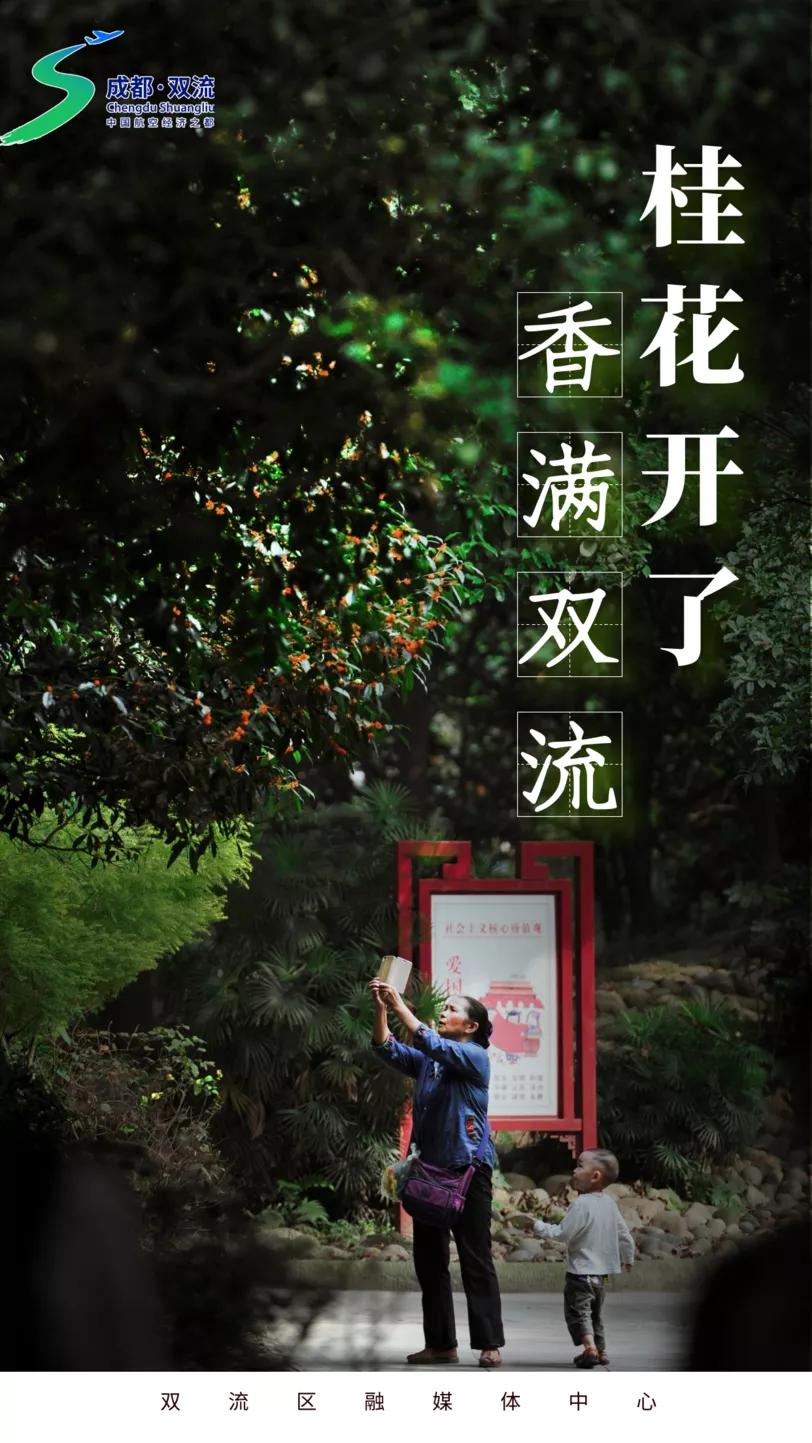 双流，我被你香醒了