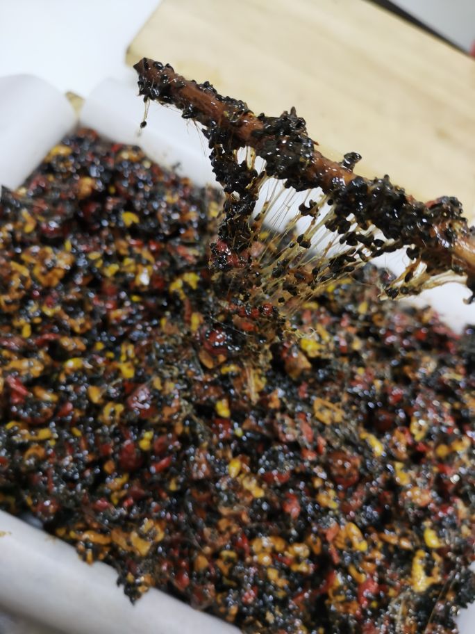 纯手工阿胶糕早进补早受益,三伏天吃阿胶糕有什么好处