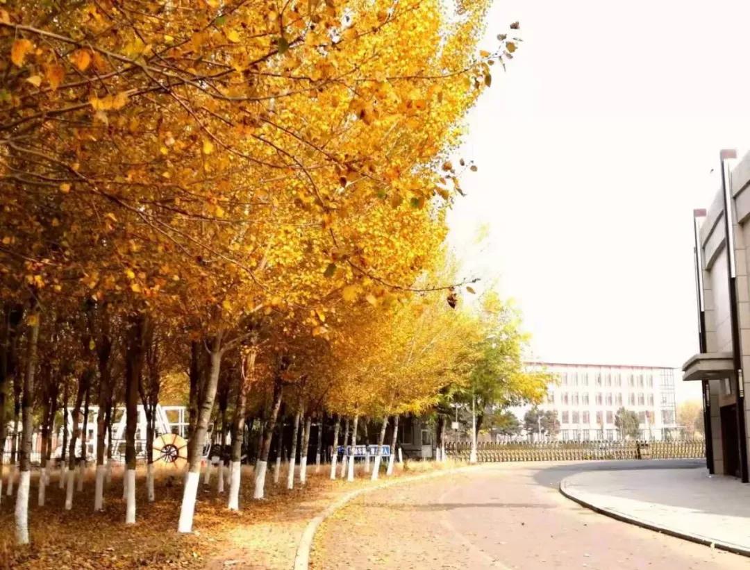 辽宁中医药大学杏林学院规模,辽宁中医学院杏林学院的排名