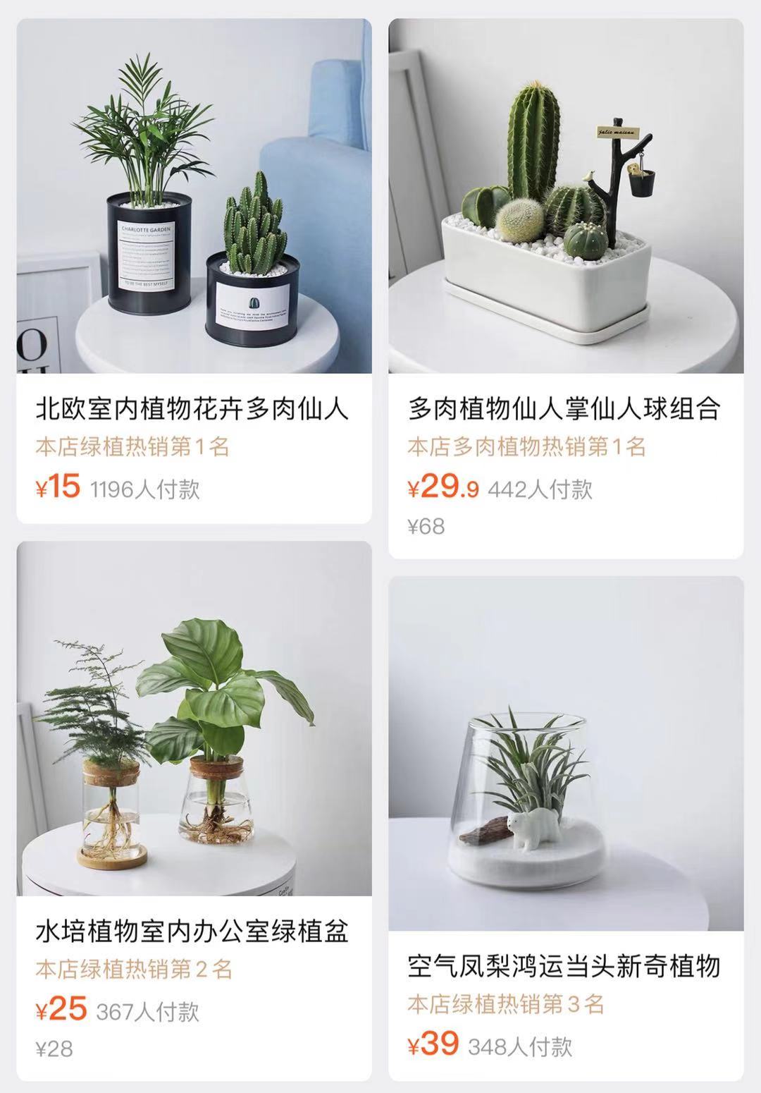 极简风格绿植店铺推荐 (室内店铺适合养的植物有香味)