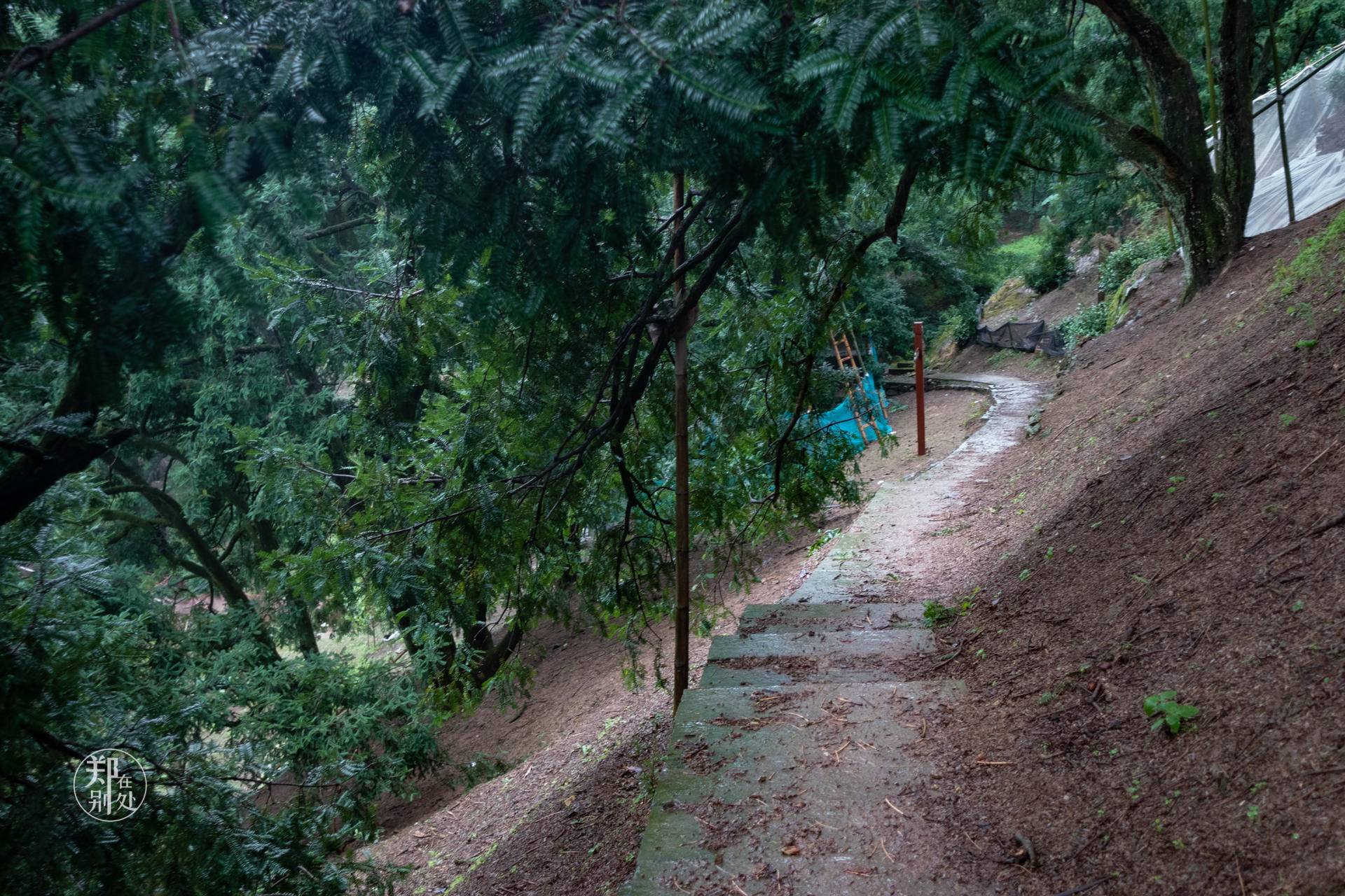 香榧古道,香榧古道徒步路线哪条景色美
