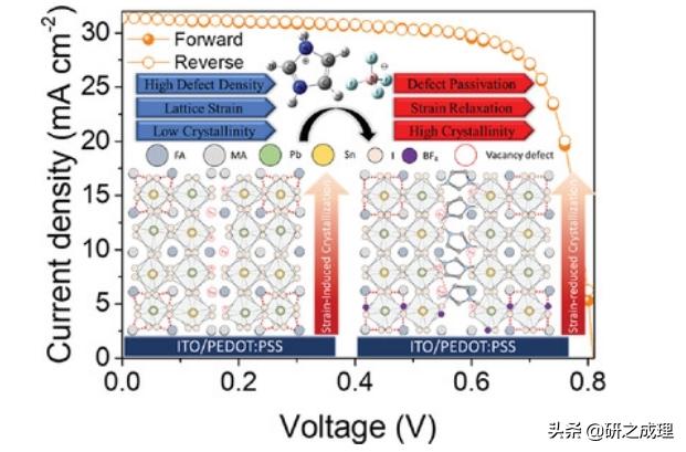 能源周报：Angew、AM、AEM、AFM、ACSEnergyLett.等大合集！