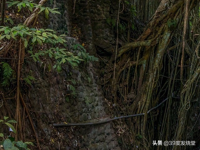 浣宠兘骞胯闀滃ご15-35,浣宠兘rf骞胯闀滃ごrf18