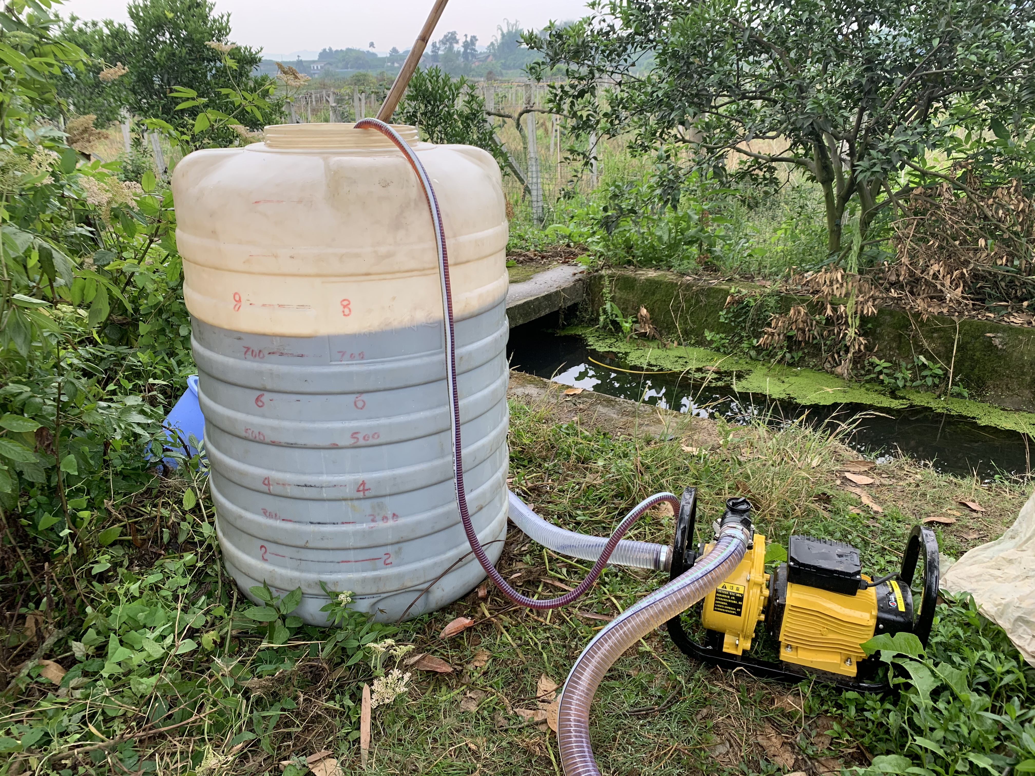 复合肥料怎样施肥效率好,复合肥料最佳使用方法