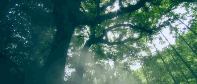 马云去的江西小镇,马云在浙江几个小镇