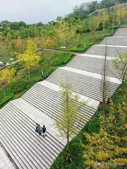 山顶洞人和现代人有什么区别,山顶洞人相比北京人有哪些进步