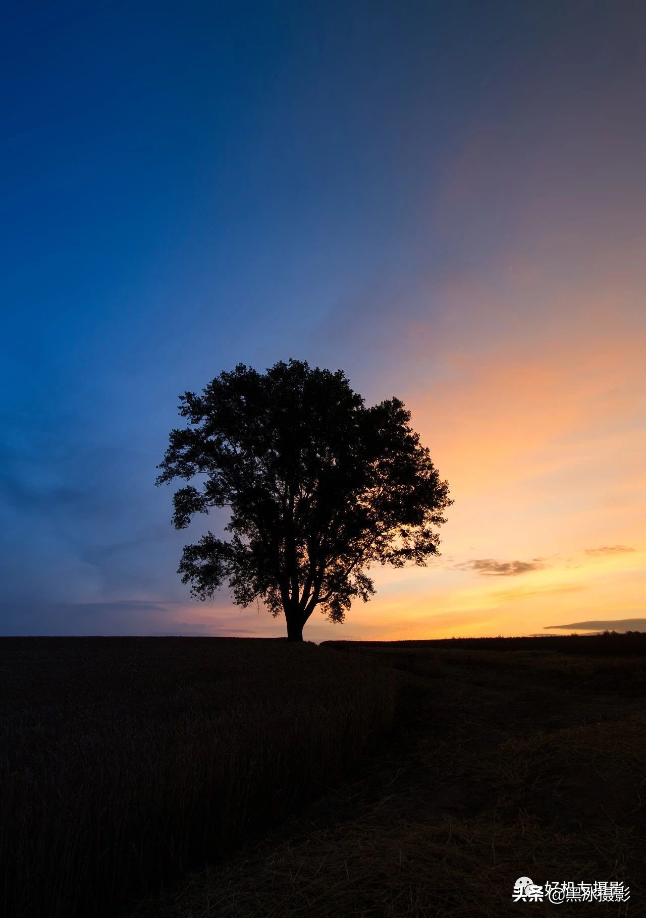 超广角和长焦镜头哪个更实用,广角镜头和长焦镜头优缺点