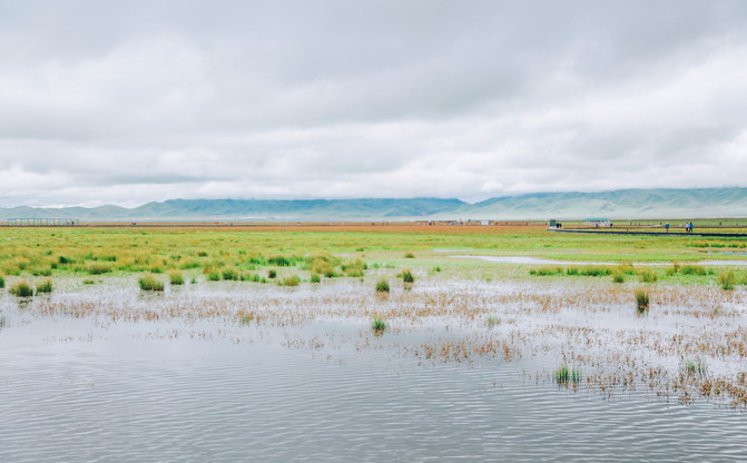 若尔盖5日游推荐,成都九寨沟黄龙若尔盖深度游
