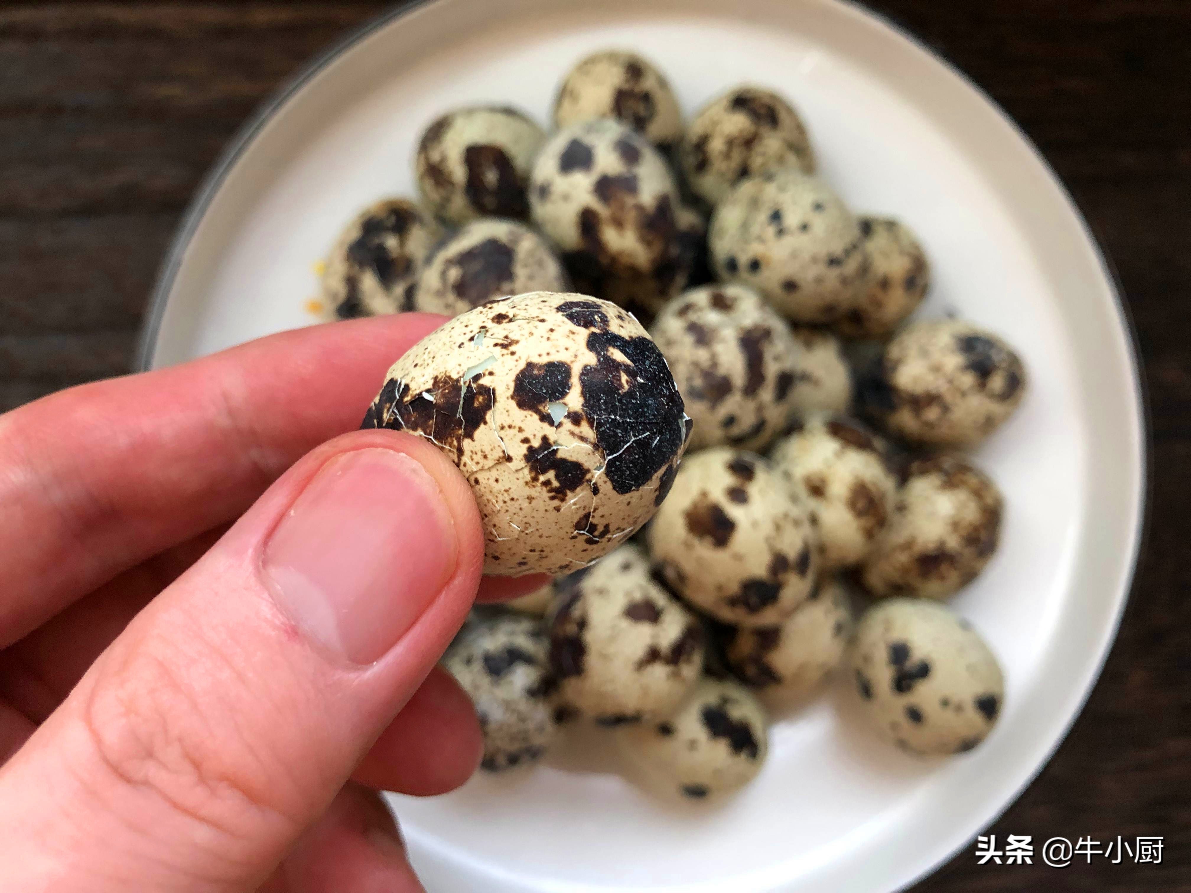 独有绿壳蛋营养价值,小鸡蛋营养价值高