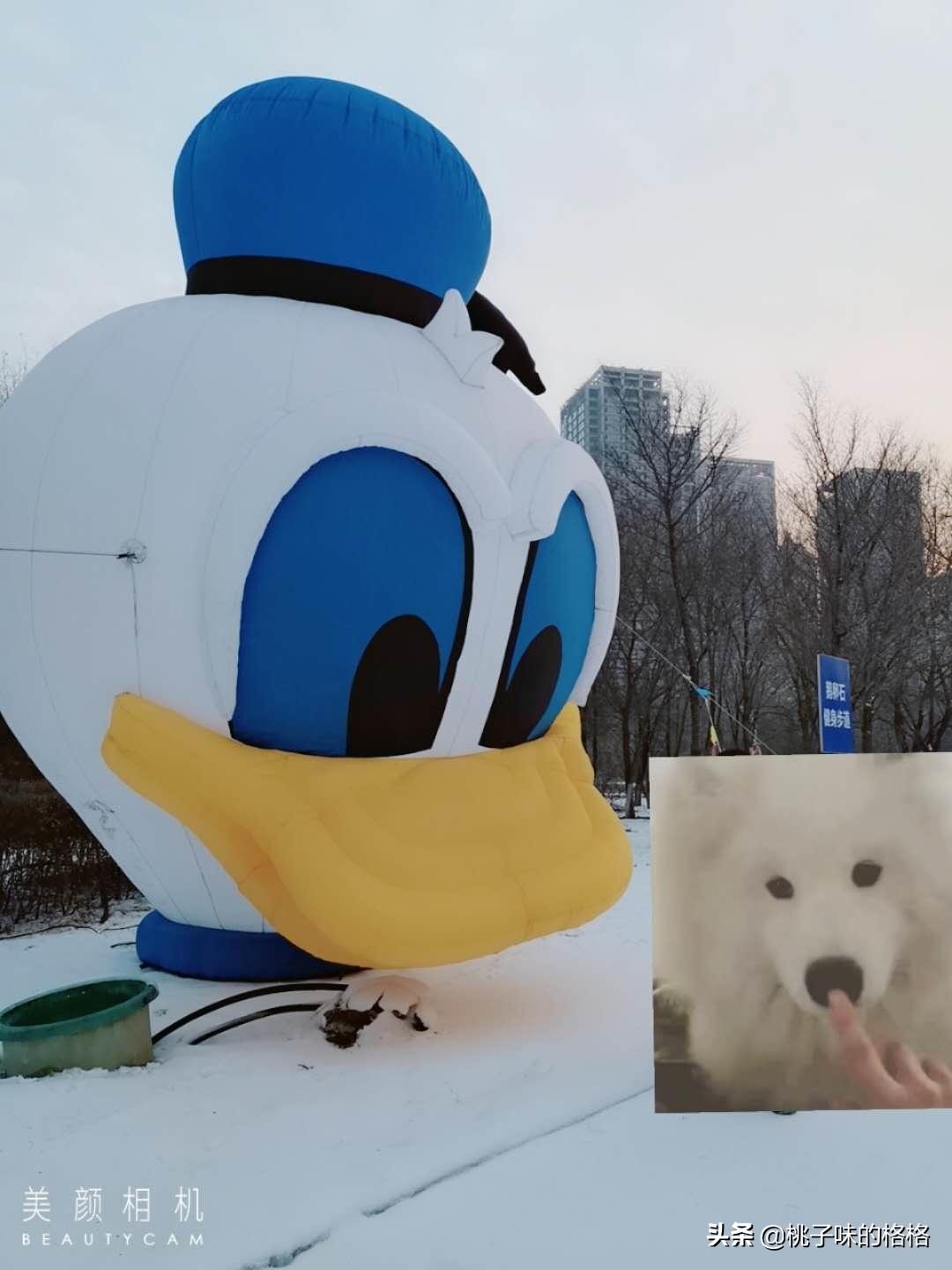 沈阳奥体冰雪嘉年华值不值得去,沈阳丁香湖奥悦冰雪嘉年华