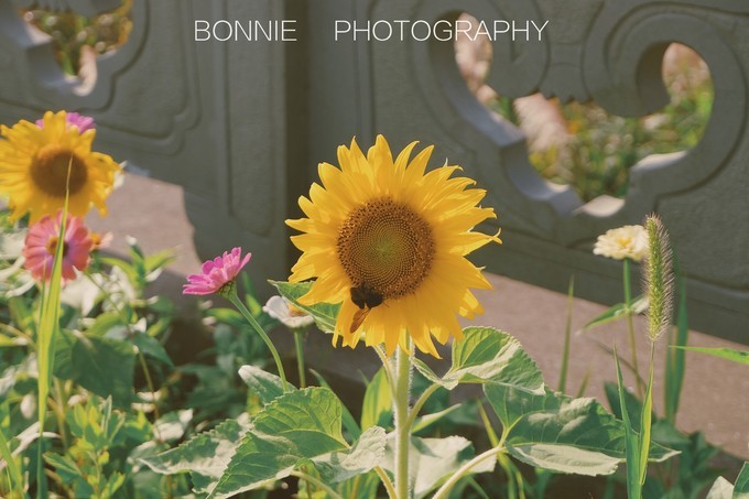 嵊泗列岛三天三夜自由行攻略 (嵊泗本岛三天两夜自由行攻略住宿)