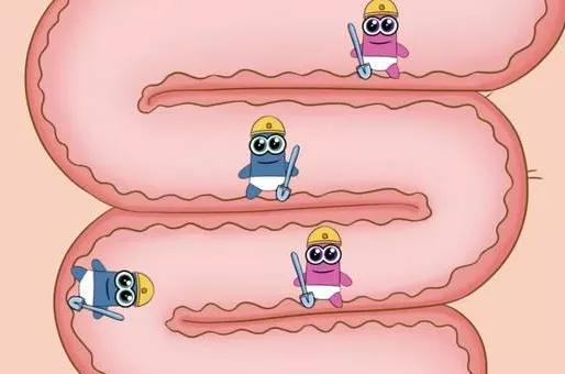 新品益生菌到货3箱,益生菌最新订单