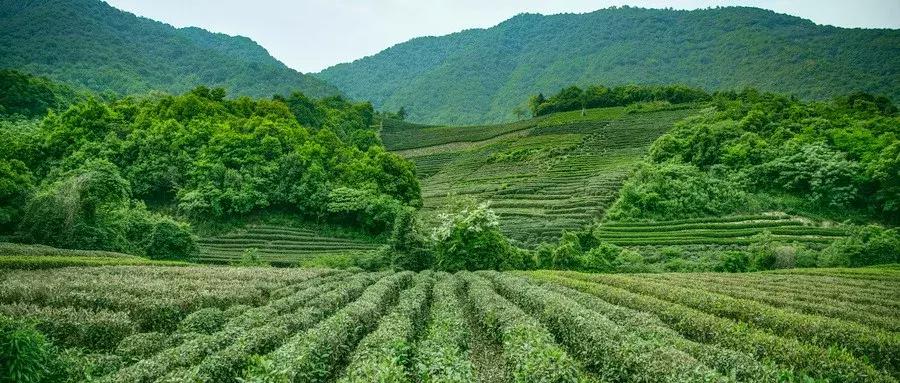 月薪八万的快递员,快递员月薪过万为什么依旧缺人