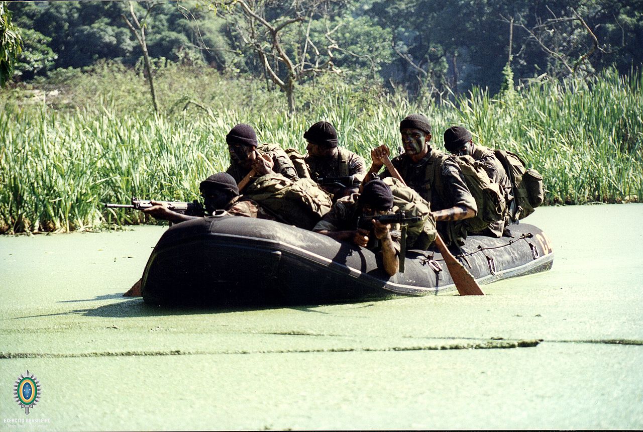 巴西军队标志,巴西海军军衔