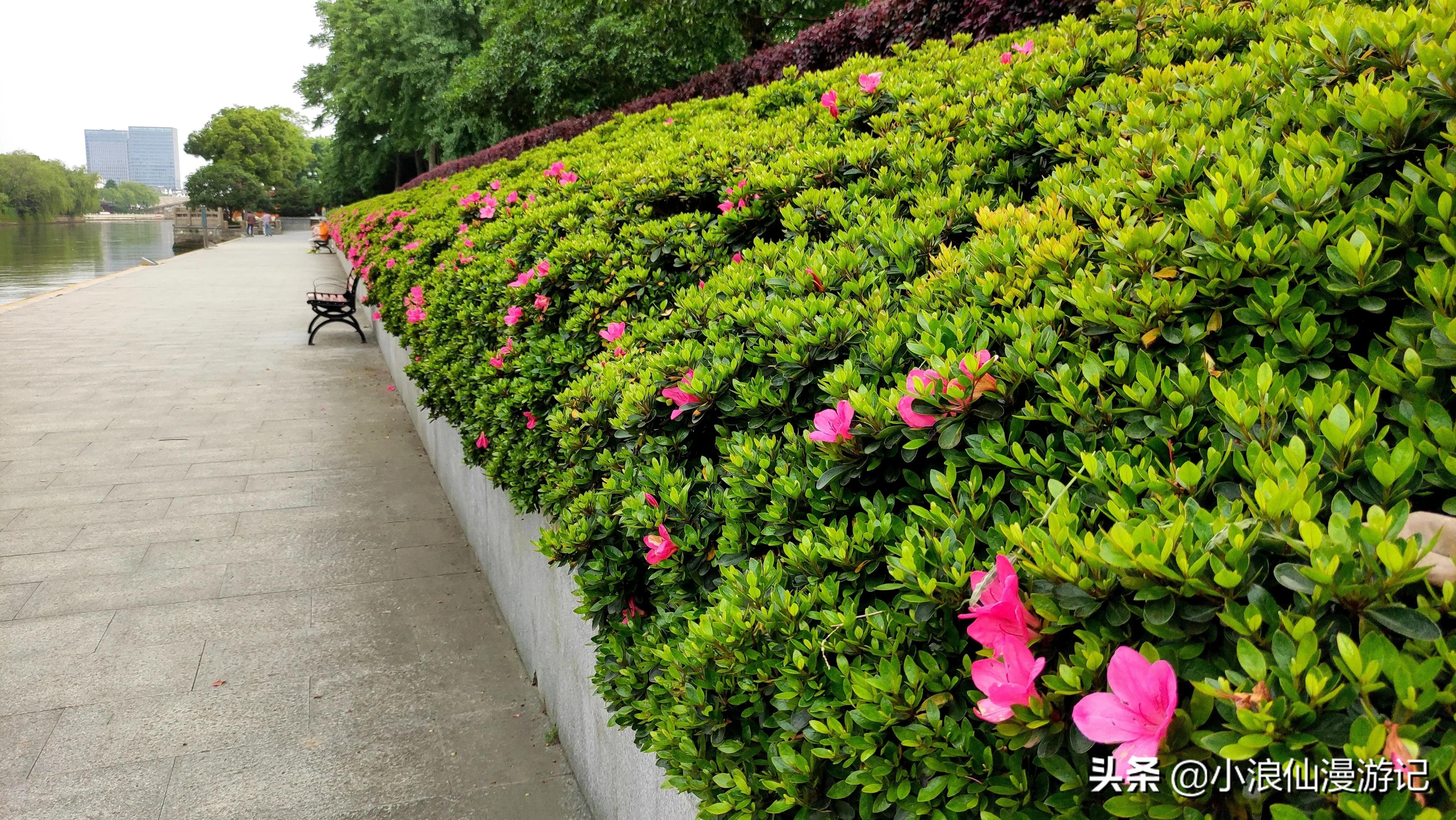 苏州免费景点排名榜前十名,苏州60岁免费景点大全