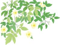 黑龙江龙奕建筑佳木斯招聘,黑龙江建筑职业技术学院招聘公告