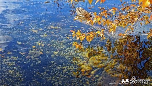 【原创.古韵新声】纤陌畔,小桥东。清溪流水逐残红