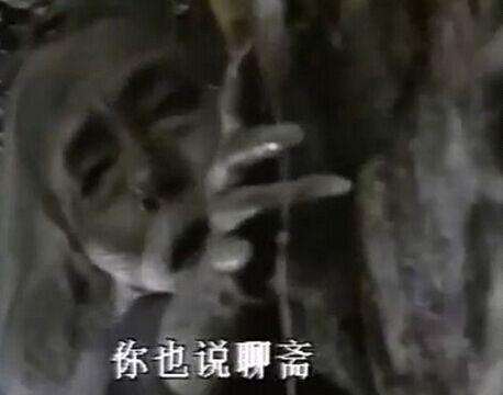 山东卫视捐款,山东卫视捐出去