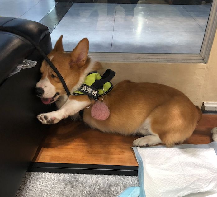 新家好用的神器,家里提升幸福感的物品