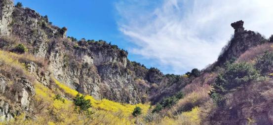 晋城王莽岭一日游攻略,山西王莽岭二日游景点推荐