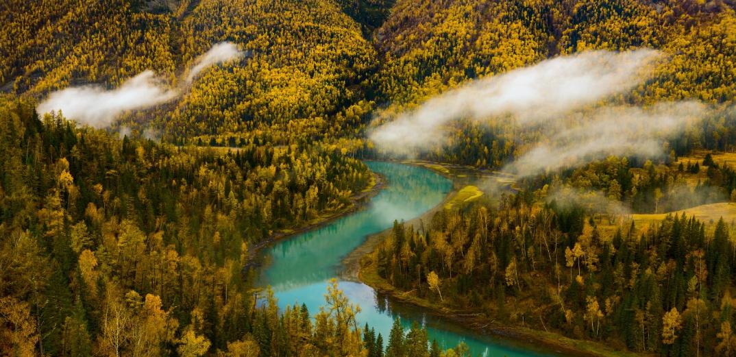 诗词赏析每日一首思念,诗词赏析每日一首秋