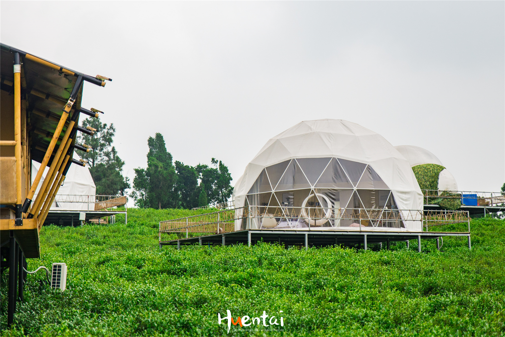 住星空帐篷吃土灶饭，看孔雀开屏，这个520就要来点不一样