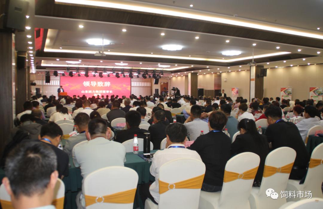 山东活力集团青岛,活力集团新品发布会