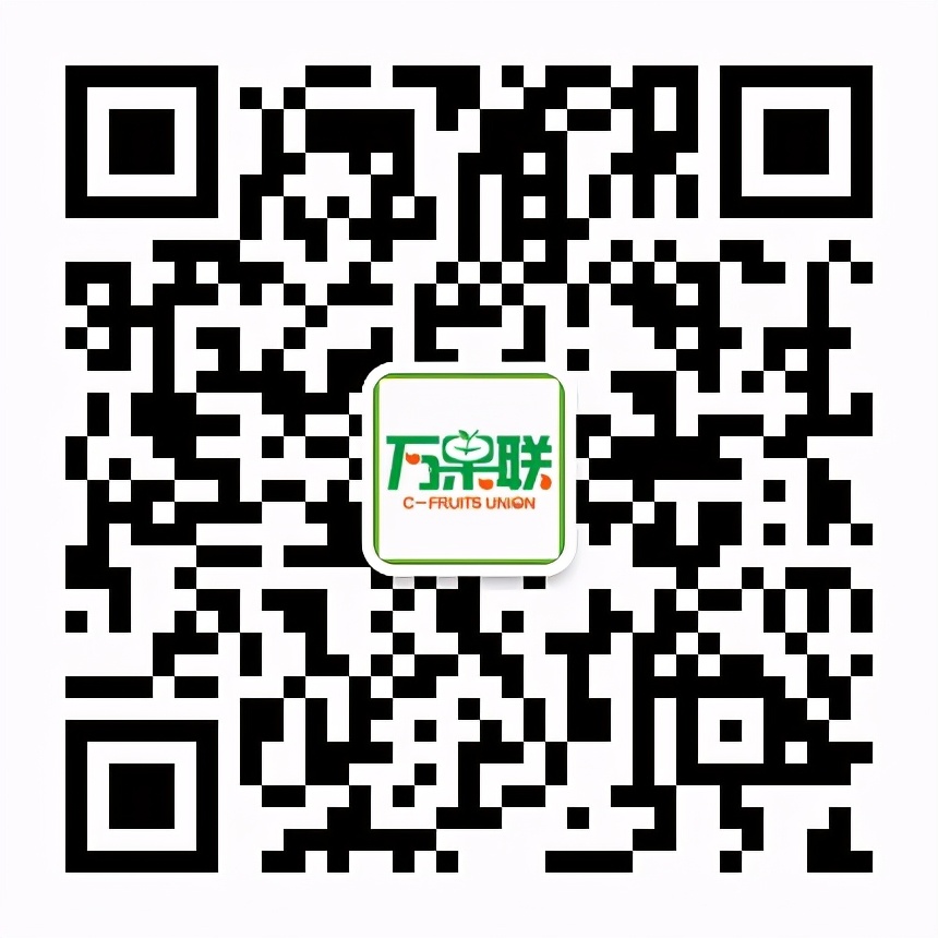 C位出道亮相山城！连续霸榜的广东荔枝到底有啥魔力？