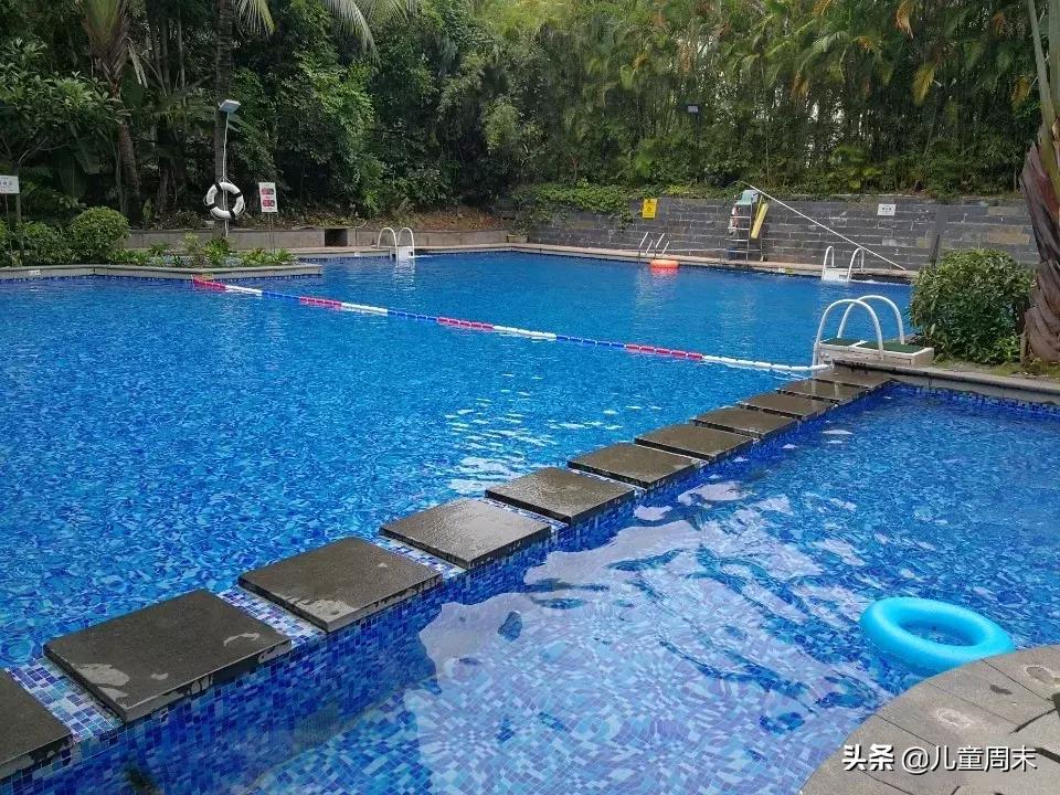 深圳游泳培训班哪家最好,深圳哪里有游泳培训班