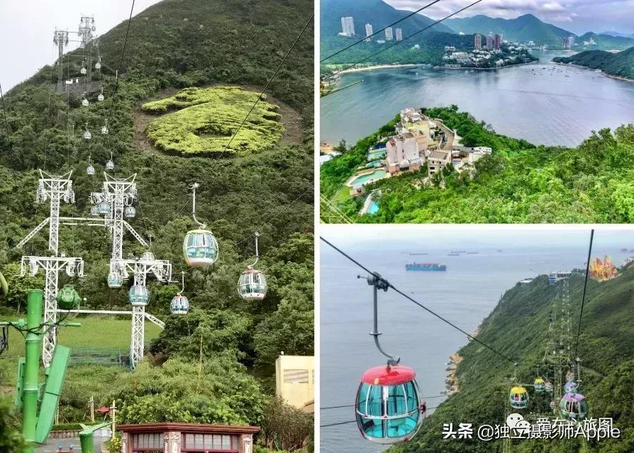 香港海洋公园自由行游玩攻略,香港旅游攻略香港海洋公园