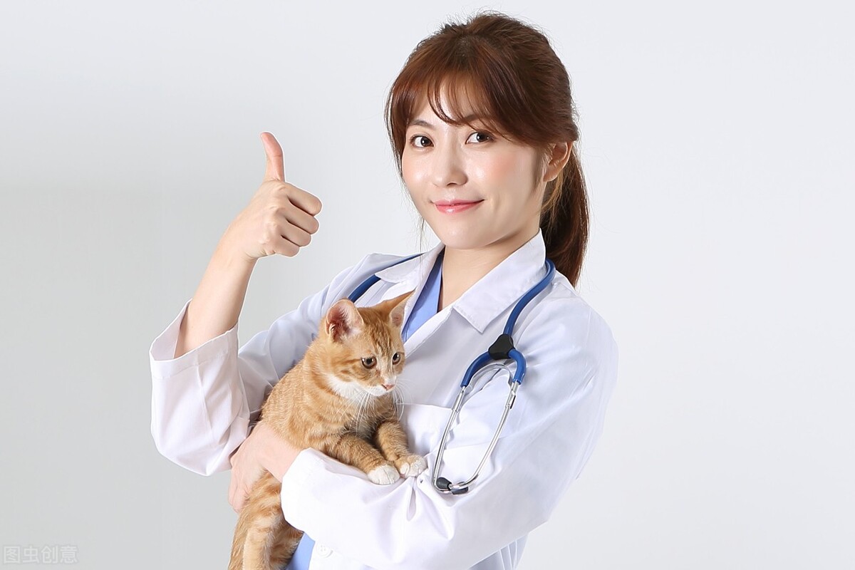 细小病毒会通过什么传染,细小病毒对人的影响