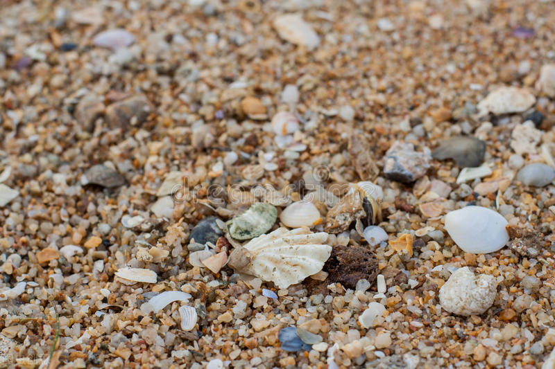 为什么3-6月禁止采砂,中国砂石短缺