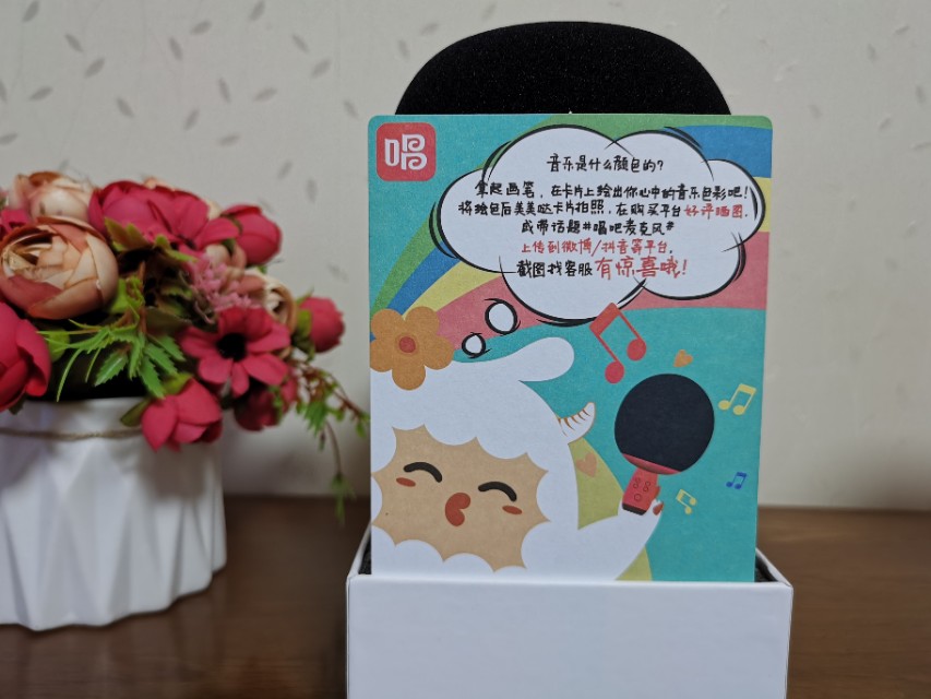 唱吧小巨蛋g2麦克风和g3的区别,唱吧小巨蛋麦克风g2使用