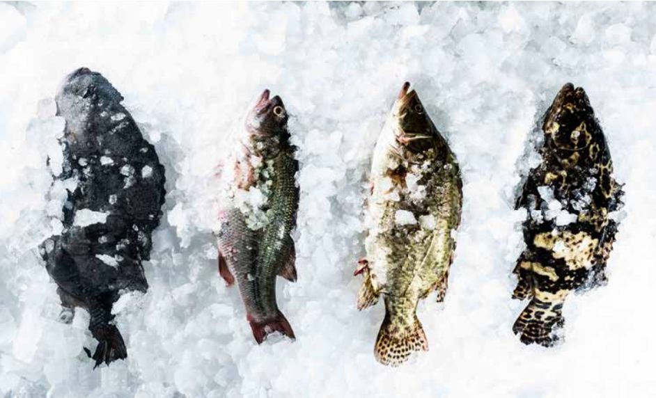 京城多家老字号年夜饭火热开订,京城年夜饭哪家好