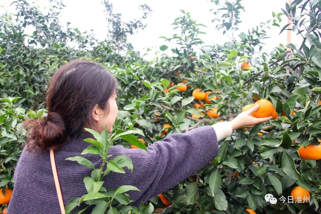 淮口景区,淮口附近旅游景区推荐一下