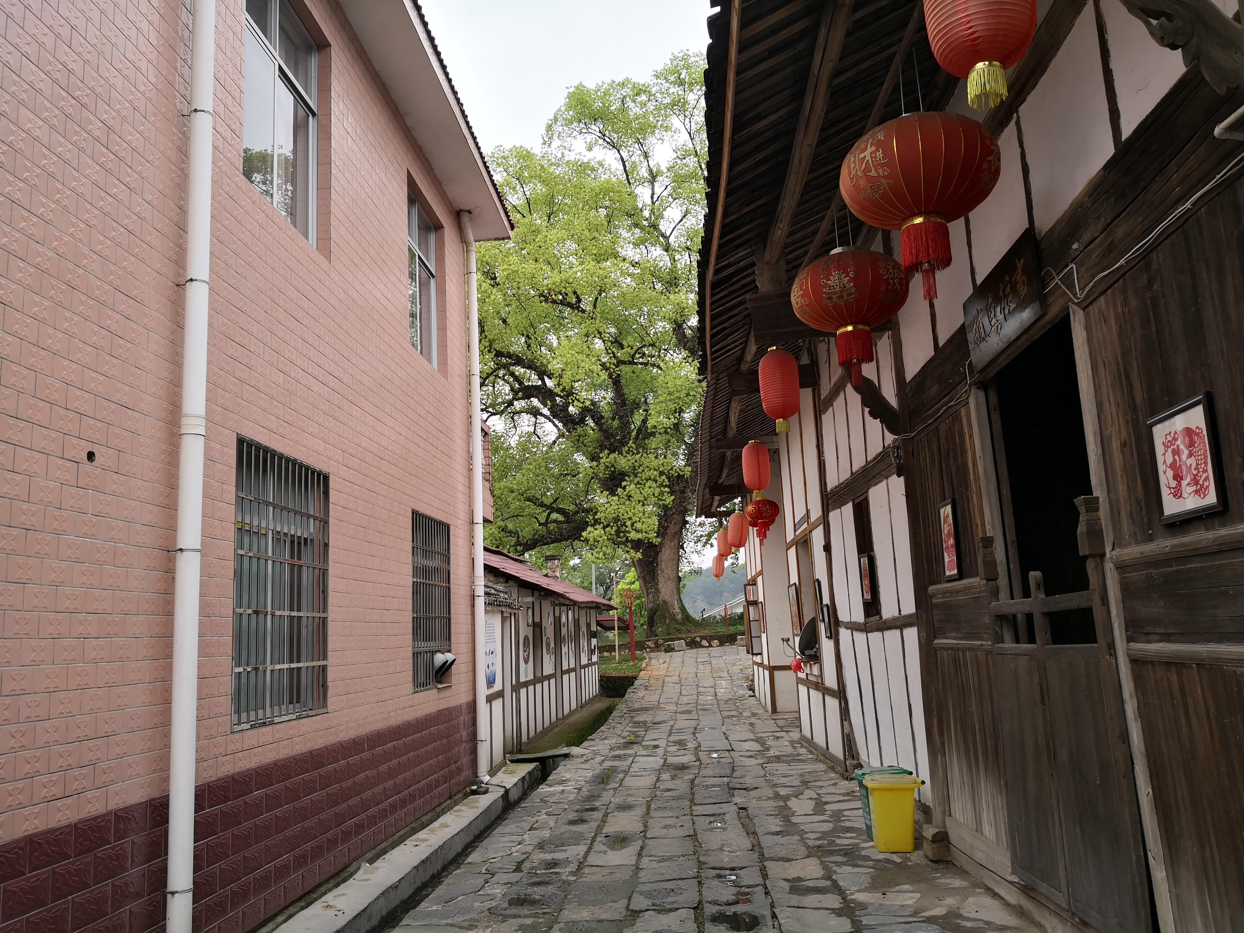 妈妈那边的亲戚称呼大全,山东亲属称呼大全