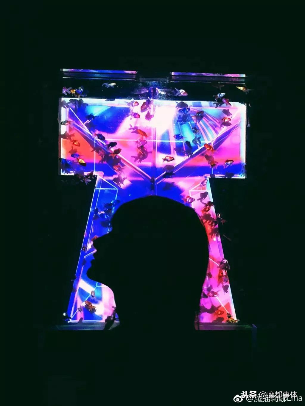 上海天安千树网红打卡点,上海打卡必去的地方排名