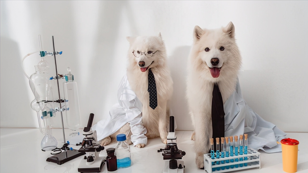 交易心理学的本质就是主观和客观,尊重的心理学核心和本质含义