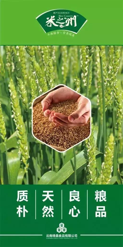 云南特产生态大米,云南生态农特产品