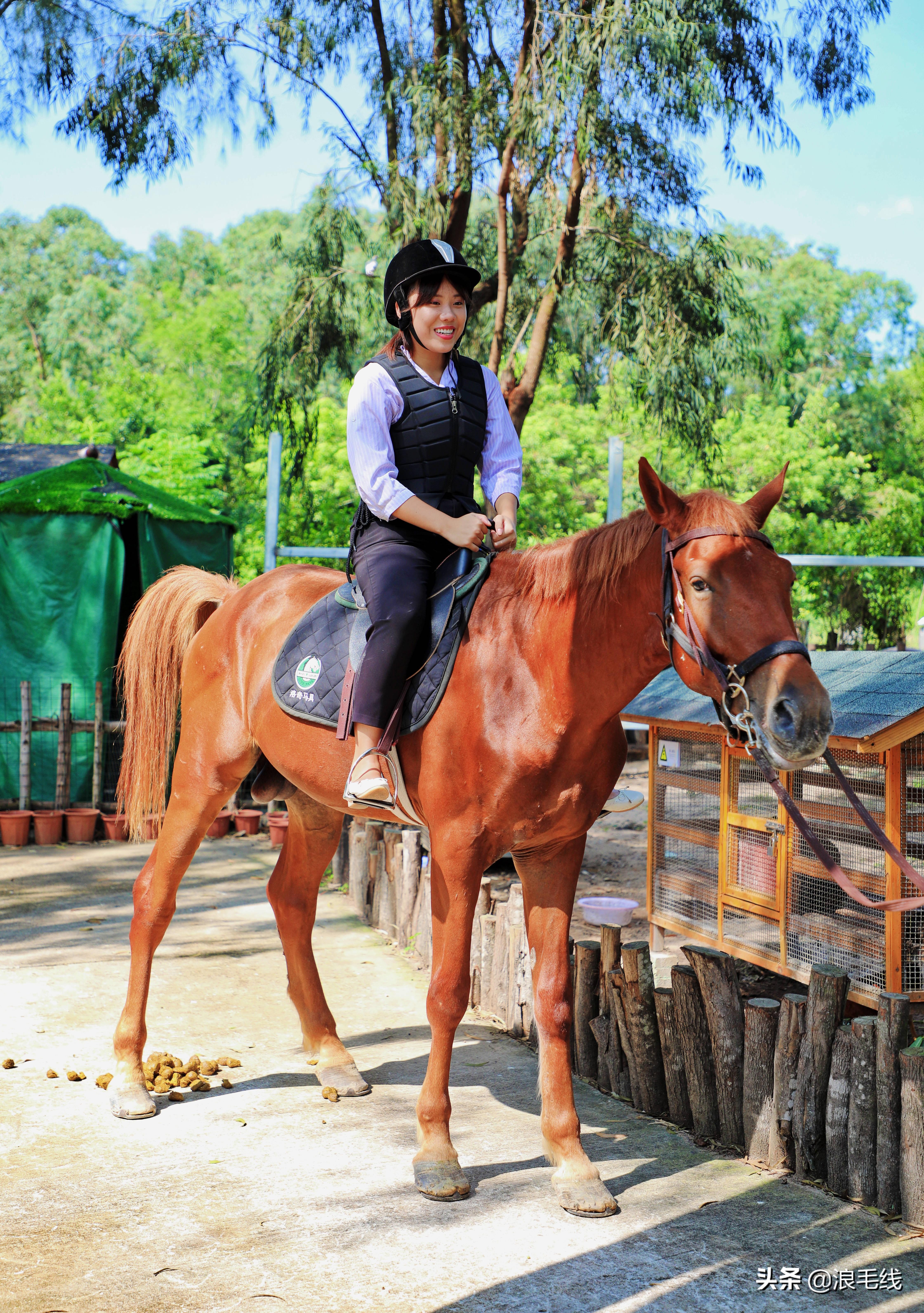 三亚海棠湾自由行热门攻略,三亚四天三夜海棠湾自由行攻略