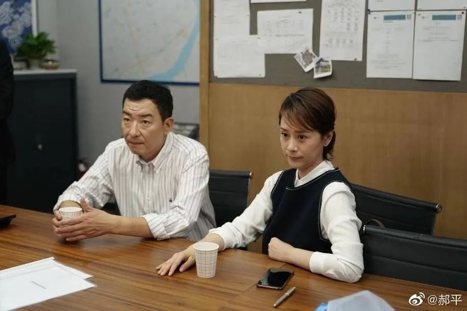 得到中介认可、收视率超高的《安家》为何评分不高？