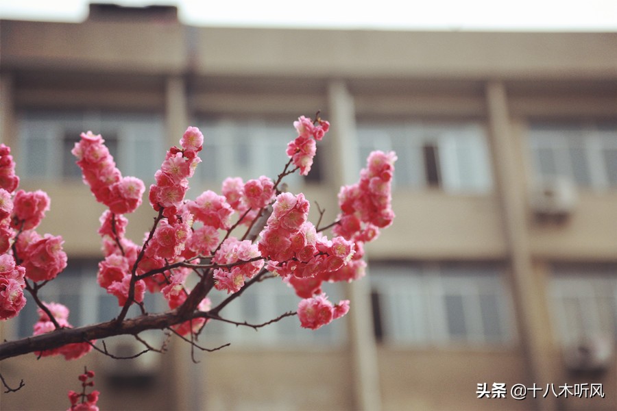 考研调剂需要发邮件吗,考研调剂要怎么发邮件