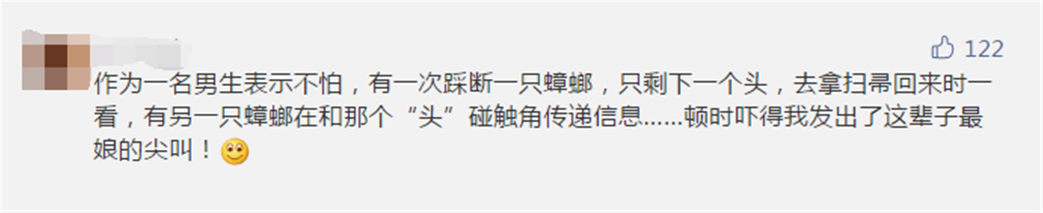 一只蟑螂被砍了头最多能活多久,蟑螂被杀后能活多久