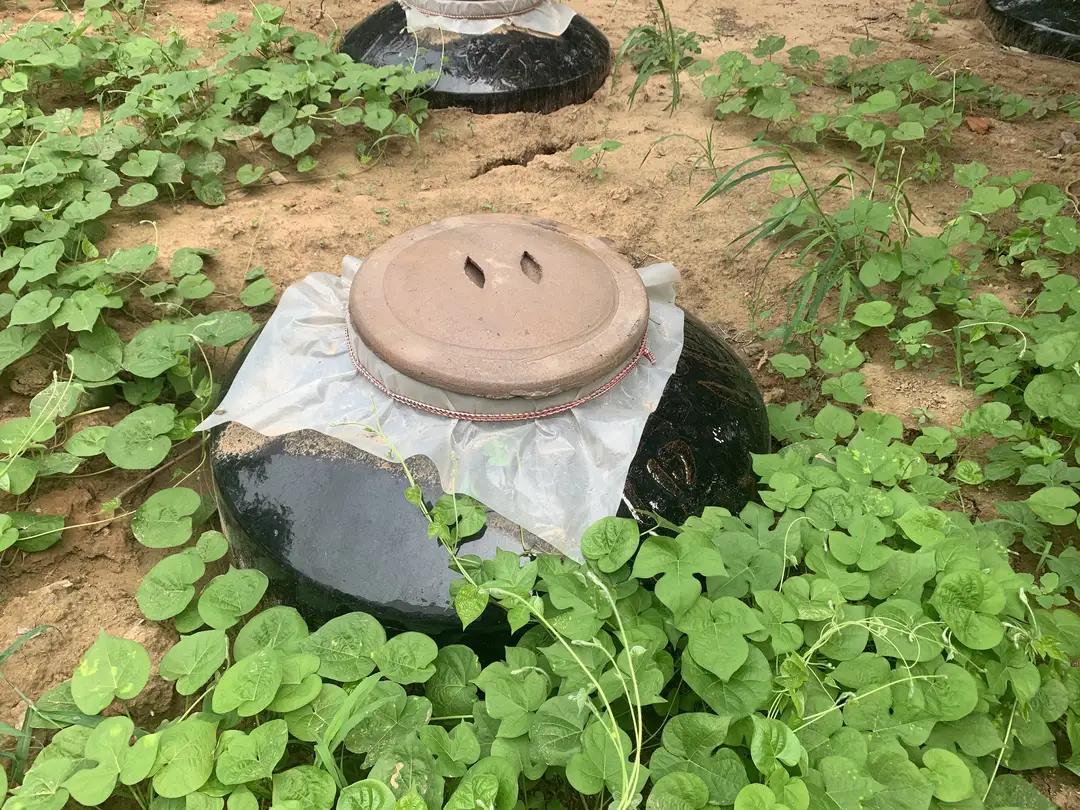 郑州宴酒坊价格表,宴酒坊郑州五粮壹号酒价格表